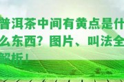 普洱茶中間有黃點(diǎn)是什么東西？圖片、叫法全解析！