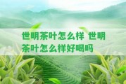 世明茶葉怎么樣 世明茶葉怎么樣好喝嗎