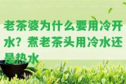 老茶婆為什么要用冷開水？煮老茶頭用冷水還是熱水