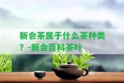 新會(huì)茶屬于什么茶種類？-新會(huì)百科茶葉