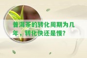 普洱茶的轉(zhuǎn)化周期為幾年，轉(zhuǎn)化快還是慢？