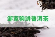 鄒家駒講普洱茶