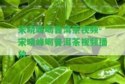 宋曉峰喝普洱茶視頻-宋曉峰喝普洱茶視頻播放