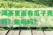 普洱茶里面有瓜子殼正常嗎？能喝嗎？