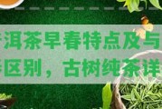 普洱茶早春特點(diǎn)及與晚春區(qū)別，古樹純茶詳解