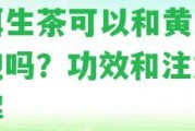 普洱生茶可以和黃芪一起泡嗎？功效和留意事詳解