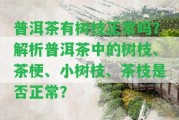 普洱茶有樹枝正常嗎？解析普洱茶中的樹枝、茶梗、小樹枝、茶枝是不是正常？