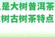 什么是大樹普洱茶圖片，大樹古樹茶特點(diǎn)，大樹？