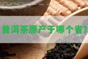 普洱茶原產(chǎn)于哪個(gè)省？