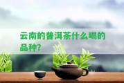 云南的普洱茶什么喝的品種？