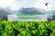 瀾滄古茶001和007的區(qū)別及其他品種比較