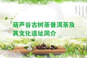 葫蘆谷古樹(shù)茶普洱茶及其文化遺址簡(jiǎn)介