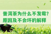 普洱茶為什么不發(fā)霉？起因及不會壞的解釋