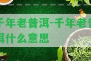 千年老普洱-千年老普洱什么意思