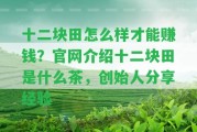 十二塊田怎么樣才能賺錢？官網(wǎng)介紹十二塊田是什么茶，創(chuàng)始人分享經(jīng)驗(yàn)