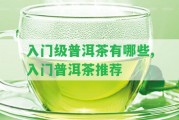 入門級(jí)普洱茶有哪些,入門普洱茶推薦