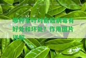 哪種茶葉對(duì)新冠病毒有好處和壞處？作用圖片詳解