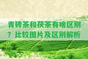 青磚茶和茯茶有啥區(qū)別？比較圖片及區(qū)別解析