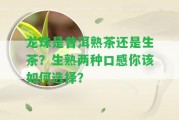 龍珠是普洱熟茶還是生茶？生熟兩種口感你該怎樣選擇？