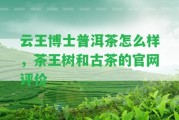 云王博士普洱茶怎么樣，茶王樹和古茶的官網(wǎng)評價(jià)