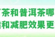 苦丁茶和普洱茶哪個(gè)降血脂和減肥效果更好？