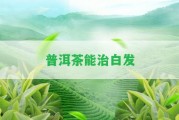 普洱茶能治白發(fā)