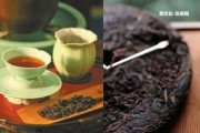 云元谷普洱茶事長及產(chǎn)品介紹