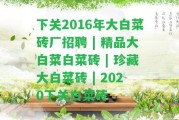 下關2016年大白菜磚廠招聘 | 精品大白菜白菜磚 | 珍藏大白菜磚 | 2020下關白菜磚