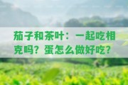 茄子和茶葉：一起吃相克嗎？蛋怎么做好吃？