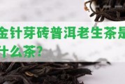 金針芽磚普洱老生茶是什么茶？