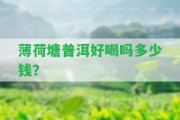 薄荷塘普洱好喝嗎多少錢(qián)？