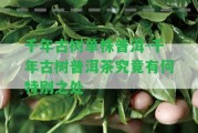 千年古樹單株普洱-千年古樹普洱茶究竟有何特別之處