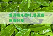 普洱糯米香葉,普洱糯米香葉茶