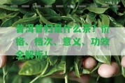 普洱昔歸是什么茶？價格、檔次、意義、功效全解析！