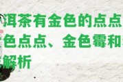 普洱茶有金色的點點：金色點點、金色霉和粉末解析