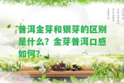 普洱金芽和銀芽的區(qū)別是什么？金芽普洱口感怎樣？