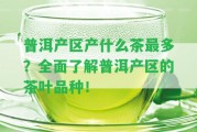 普洱產(chǎn)區(qū)產(chǎn)什么茶最多？全面熟悉普洱產(chǎn)區(qū)的茶葉品種！