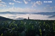 生普洱茶和什么搭配喝及配茶點(diǎn)？