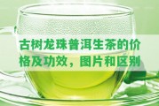 古樹龍珠普洱生茶的價(jià)格及功效，圖片和區(qū)別