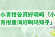 小青柑普洱好喝嗎「小青柑普洱好喝嗎知乎」