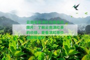 云南名茶滇紅價格表及圖片：熟悉云南滇紅茶的價格，查看滇紅茶價格表和圖片