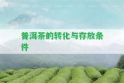 普洱茶的轉(zhuǎn)化與存放條件