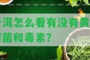 普洱怎么看有不存在黃曲霉菌和毒素？