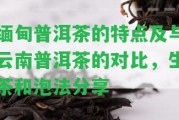 緬甸普洱茶的特點及與云南普洱茶的對比，生茶和泡法分享