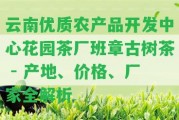 云南優(yōu)質(zhì)農(nóng)產(chǎn)品開發(fā)中心花園茶廠班章古樹茶 - 產(chǎn)地、價(jià)格、廠家全解析