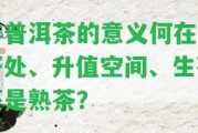 存普洱茶的意義何在：好處、升值空間、生茶還是熟茶？