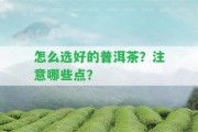 怎么選好的普洱茶？留意哪些點？