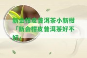 新會(huì)柑皮普洱茶小新柑「新會(huì)柑皮普洱茶好不好」