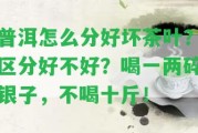 普洱怎么分好壞茶葉？區(qū)分好不好？喝一兩碎銀子，不喝十斤！