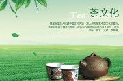 英德茶問(wèn)，鐵皮石斛花的功效與作用吃法